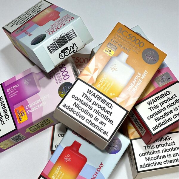 VAPORIZADORES BC 5.000 PUFFS💨